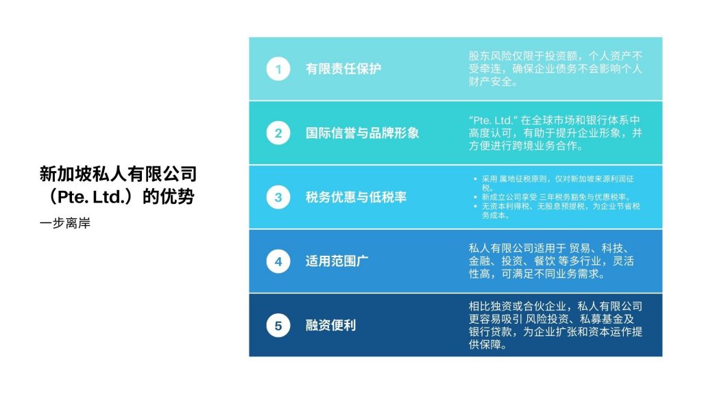 新加坡私人有限公司（Pte. Ltd.）的优势